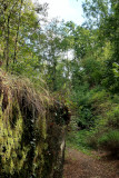 An der Klostermauer, 2022, Foto: H. P. Döring & M. Kuras